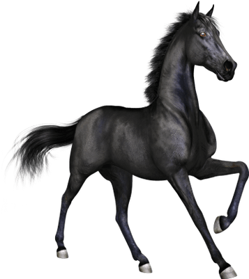 Horse Clipart 0 - Horse Clipart 0 (400x400)