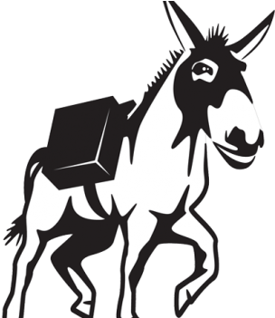 The Servermule Story - The Servermule Story (350x350)