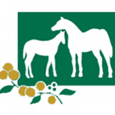 Wattle Brae Stud - Wattle Brae Stud (400x400)