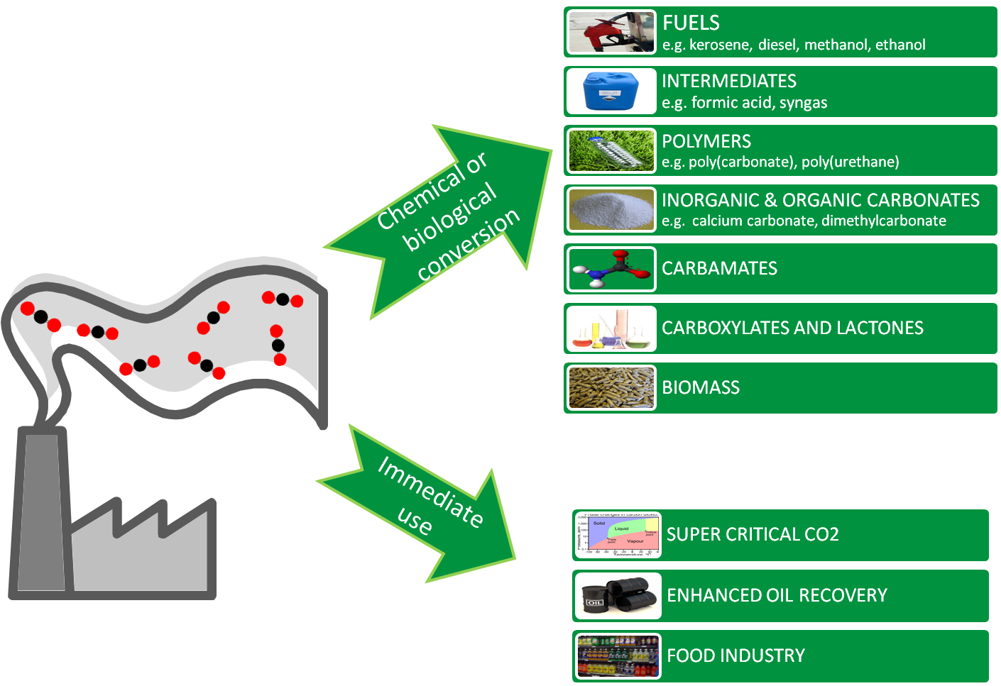 A Combined Biological And Chemical Flue Gas Utilization - A Combined Biological And Chemical Flue Gas Utilization (1410x967)