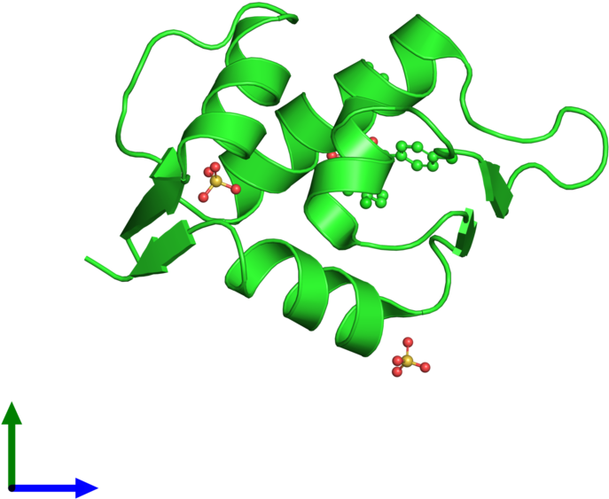 Ribbon Structure Of 4jv9 - Ribbon Structure Of 4jv9 (800x800)