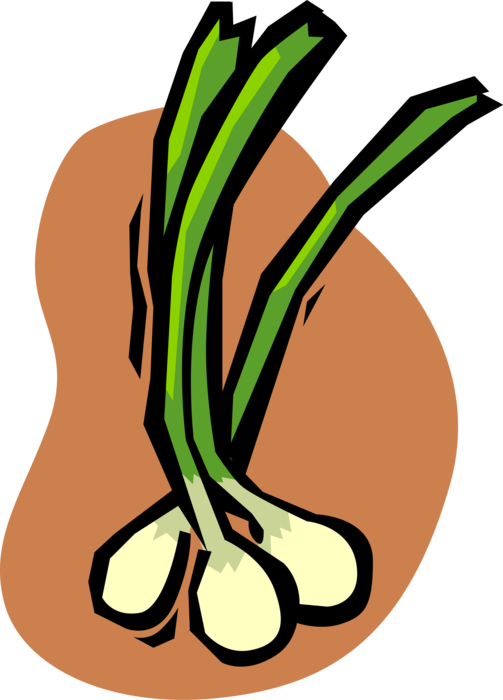 Vector Illustration Of Green Scallion Onion Vegetable - Vector Illustration Of Green Scallion Onion Vegetable (503x700)