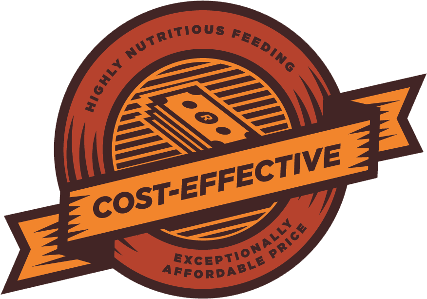 Balanced Proteins, Carbohydrates And Fats Allow For - Balanced Proteins, Carbohydrates And Fats Allow For (897x634)