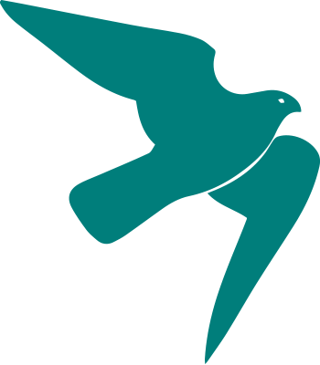 Free Your Mind Hawk - Free Your Mind Hawk (350x400)