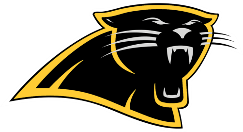 Panther Head Png - Panther Head Png (502x272)