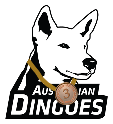 Ultimate Frisbee Team - Ultimate Frisbee Team (391x432)