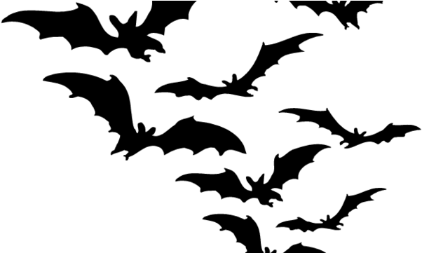 Bat Black And White Cliparts - Bat Black And White Cliparts (640x360)