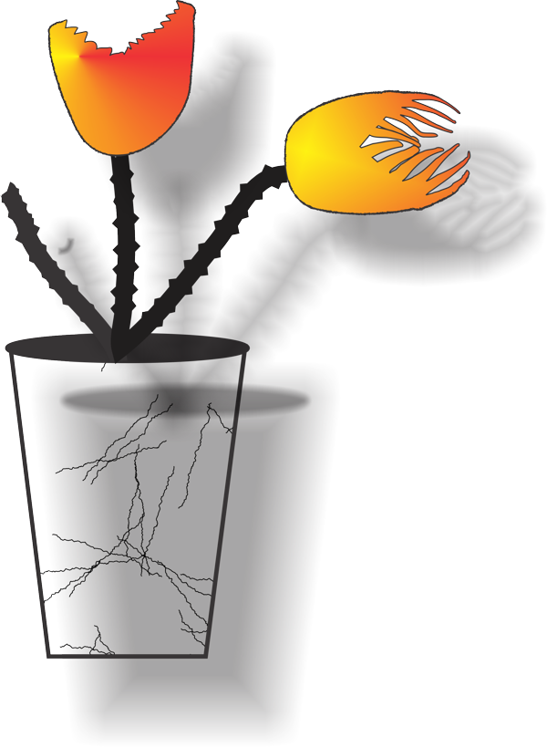 In This Exercise, We're Going To Draw A Vase Of Flowers - In This Exercise, We're Going To Draw A Vase Of Flowers (600x820)
