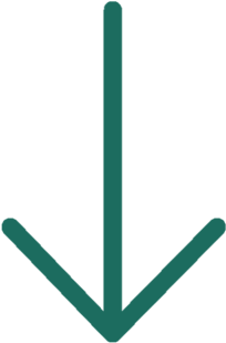 All Of Our Classes Are Beginner Friendly We Strive - All Of Our Classes Are Beginner Friendly We Strive (1000x333)