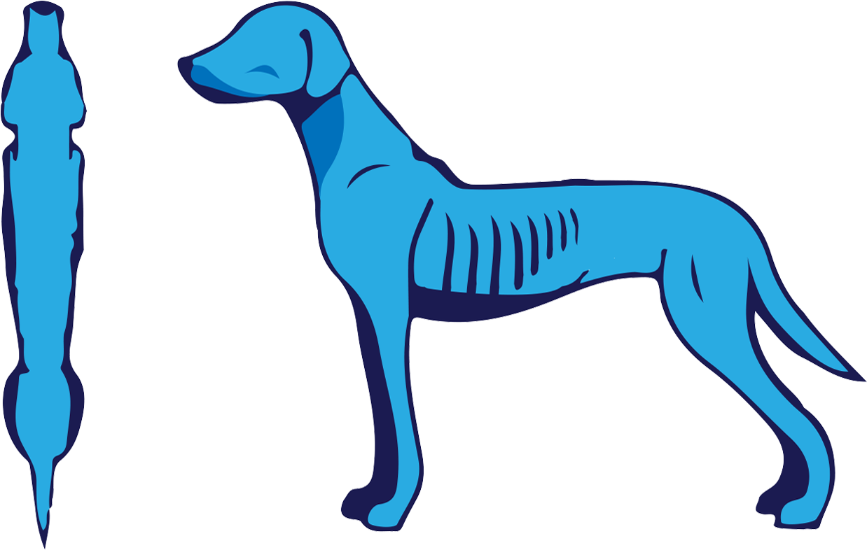 Dogs Clipart Body - Dogs Clipart Body (1278x795)