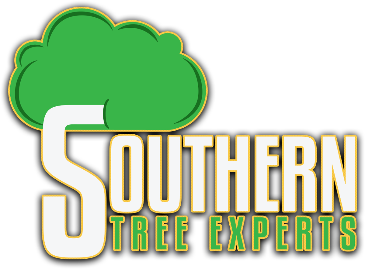 Southern Tree Experts 134 E 52nd St Savannah, Ga - Southern Tree Experts 134 E 52nd St Savannah, Ga (1200x885)