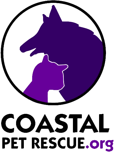 Friday August 4, 2017 By Landmark 24 Team - Friday August 4, 2017 By Landmark 24 Team (405x537)