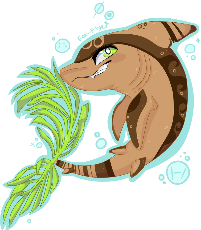 Coconut Coconut Sharks In The Water By South-fox - Coconut Coconut Sharks In The Water By South-fox (1024x1024)