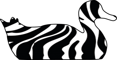Zebra Duck Pond - Zebra Duck Pond (488x250)