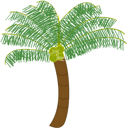 New Coconut Tree Images Free Download Coconut Tree - New Coconut Tree Images Free Download Coconut Tree (448x448)