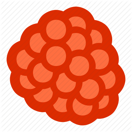 Food Raspberry Icon - Food Raspberry Icon (512x512)