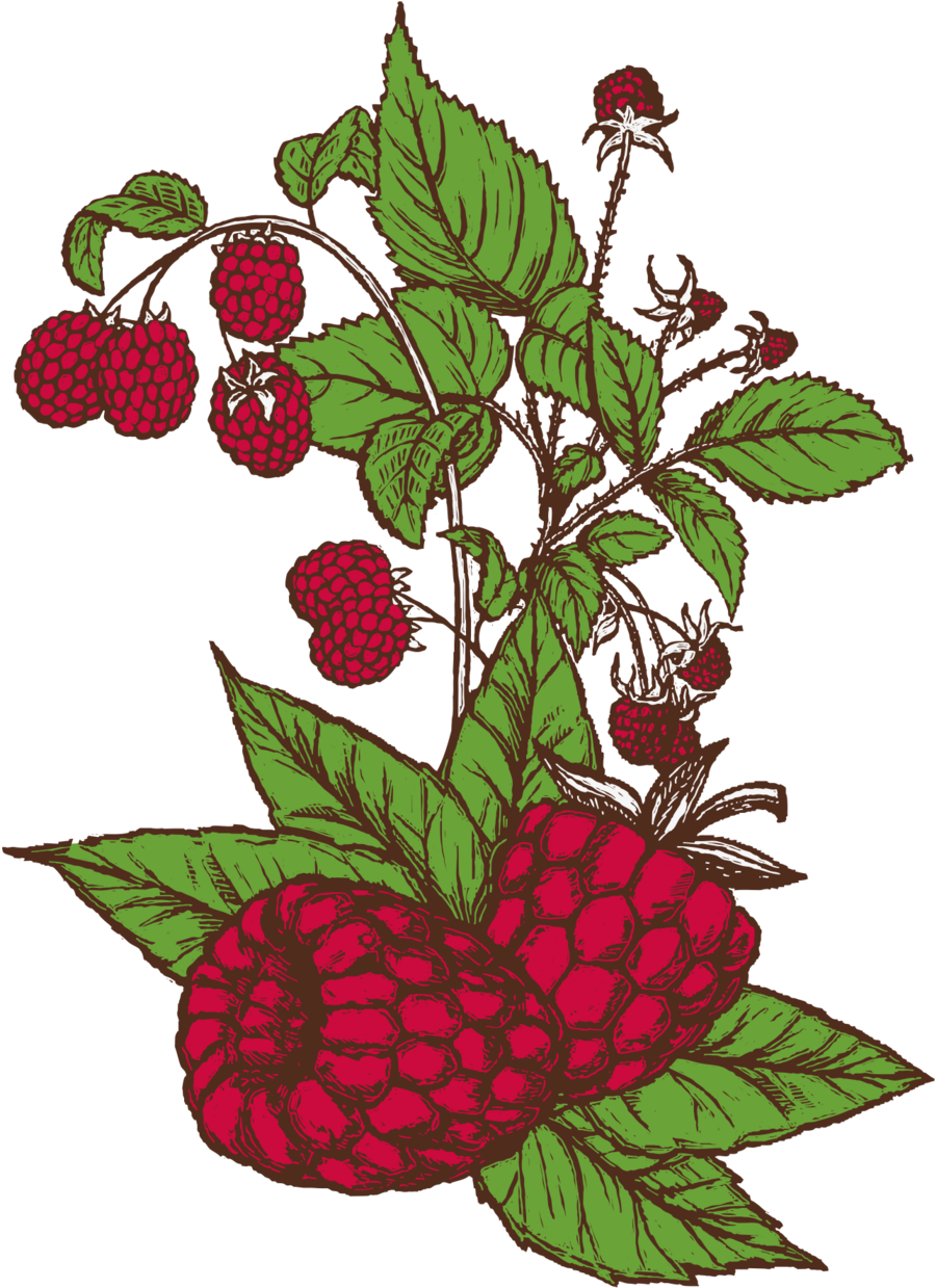 See All Beers - See All Beers (1260x1260)