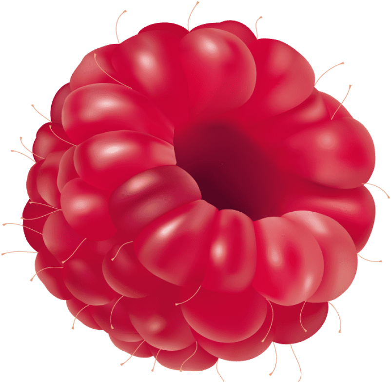 Download Raspberry Clipart Png Photo - Download Raspberry Clipart Png Photo (850x843)
