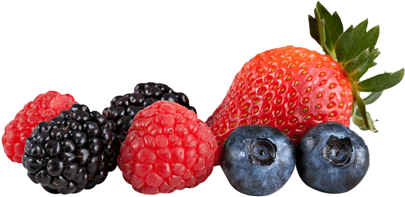 Berries Clipart Banner - Berries Clipart Banner (850x425)