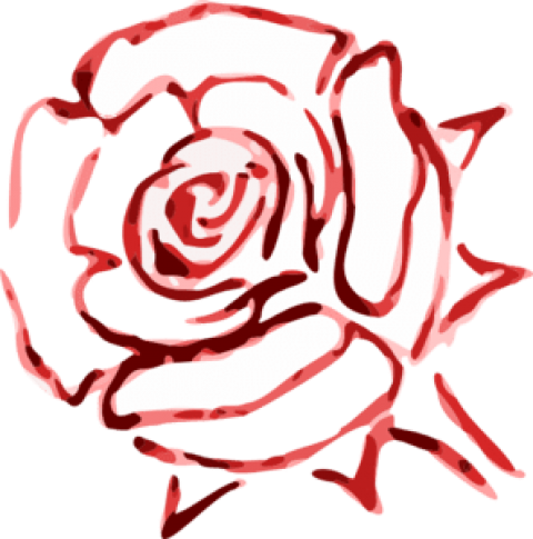 Free Png Download Png Rose Outline S Clipart Png Photo - Free Png Download Png Rose Outline S Clipart Png Photo (480x485)