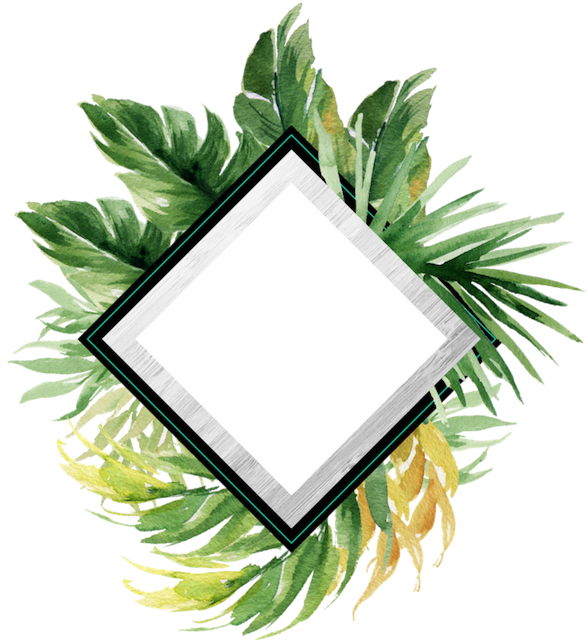 The Secret Garden Of Dance Latino Dancing, Wedding - The Secret Garden Of Dance Latino Dancing, Wedding (600x660)