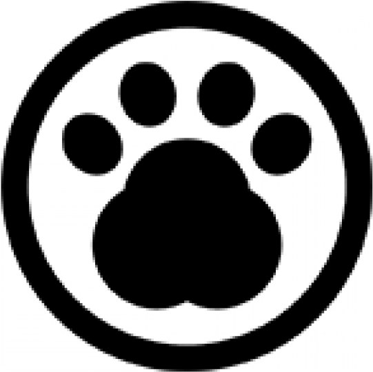 Canine Companion Training Canine Companion Training - Canine Companion Training Canine Companion Training (1000x601)