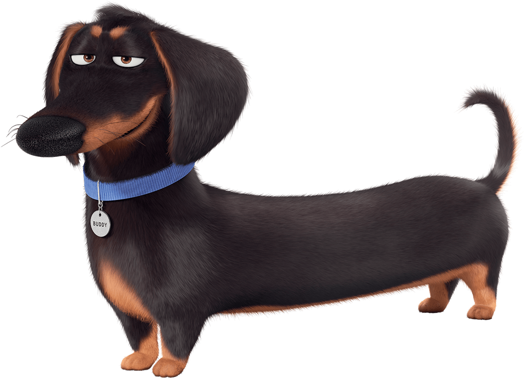 Pet Clipart Companion - Pet Clipart Companion (1137x832)