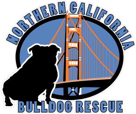 Northern California Bulldog Rescue - Northern California Bulldog Rescue (450x379)