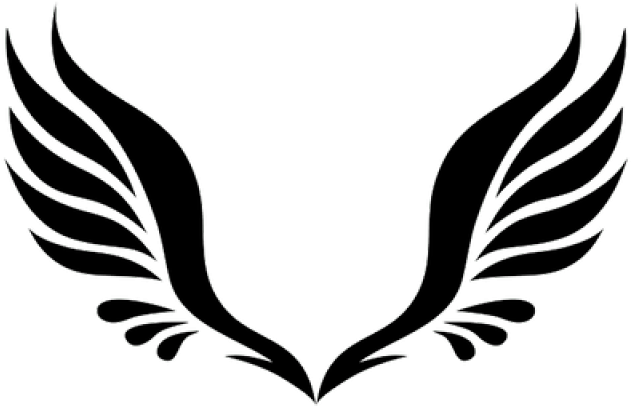 Aesthetic Clipart Angel's Wing - Aesthetic Clipart Angel's Wing (640x480)