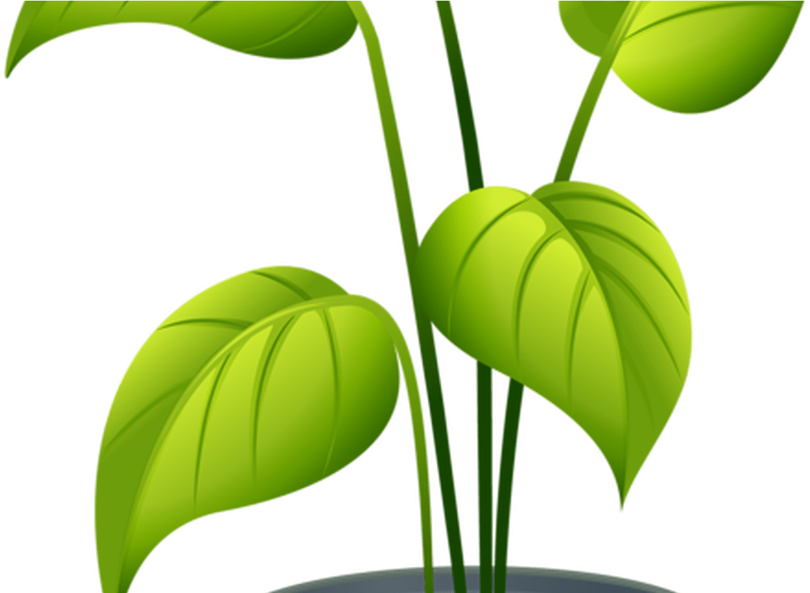 Flower Pot 5 Emoticons Flowers Pinterest Plants, Flower - Flower Pot 5 Emoticons Flowers Pinterest Plants, Flower (1368x855)