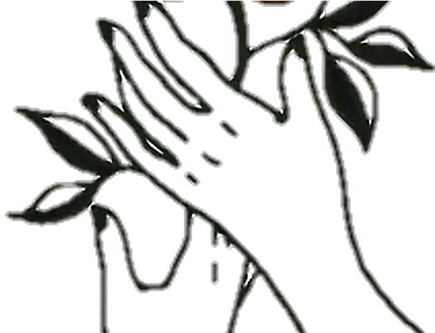 Aesthetic Clipart Rose - Aesthetic Clipart Rose (640x480)