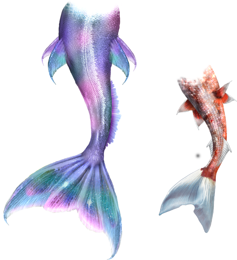 Mermaid Tail Clipart Merman - Mermaid Tail Clipart Merman (945x945)