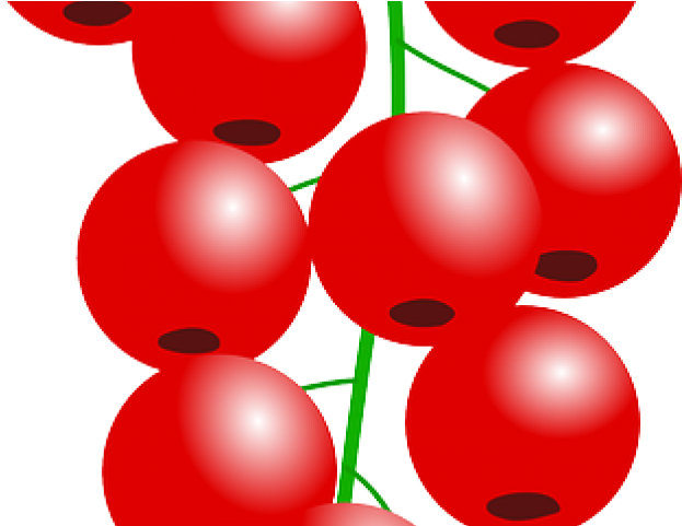 Berries Clipart Currant - Berries Clipart Currant (640x480)
