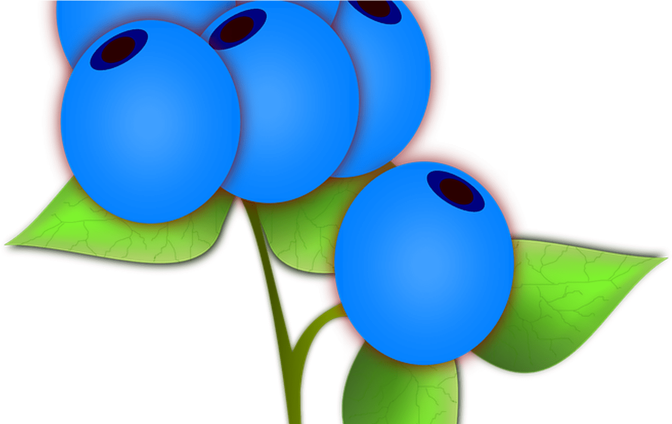 Blueberry Clipart Jokingartcom - Blueberry Clipart Jokingartcom (1368x855)