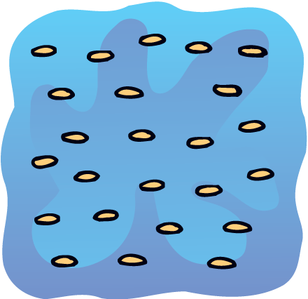 Sesame Seeds - Sesame Seeds (440x426)
