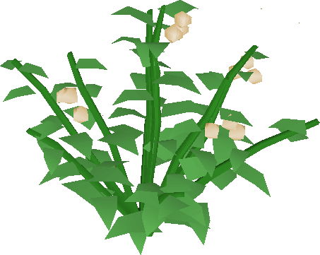 Poison Ivy Berry Bush - Poison Ivy Berry Bush (453x361)