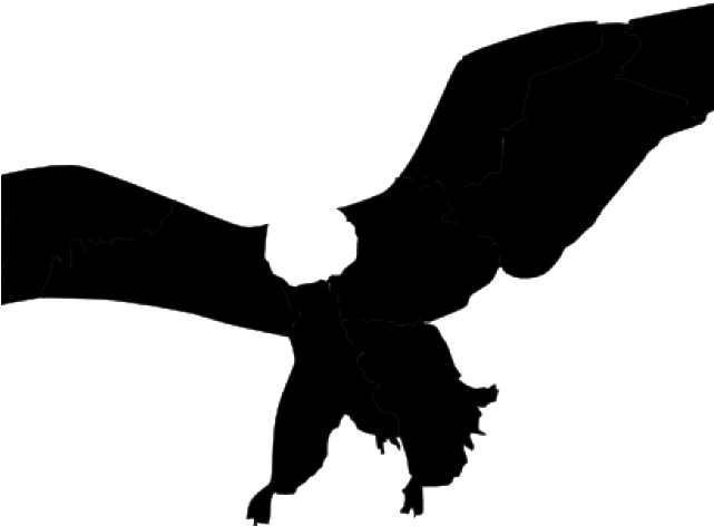 White Tailed Eagle Clipart Soaring Eagle - White Tailed Eagle Clipart Soaring Eagle (640x480)