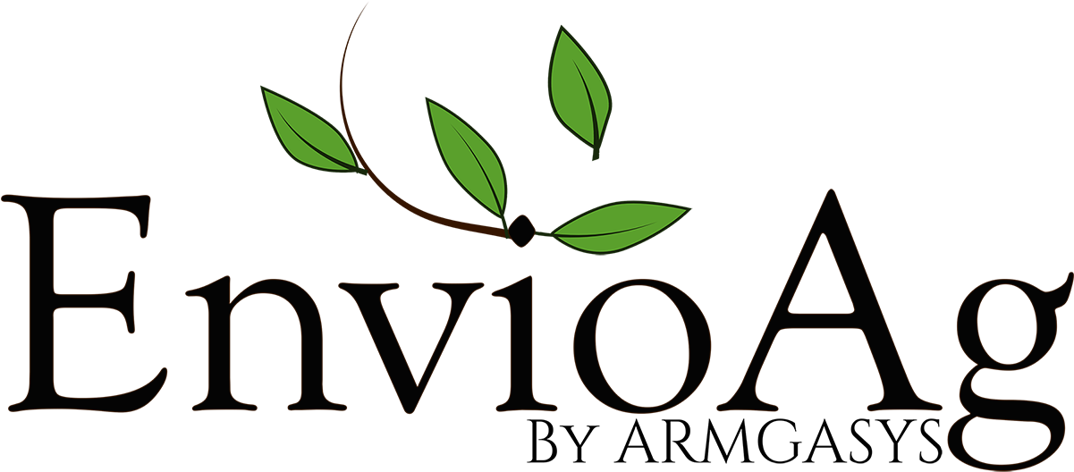Download Colored Version 1200×548 Pixels Png - Download Colored Version 1200×548 Pixels Png (1200x548)