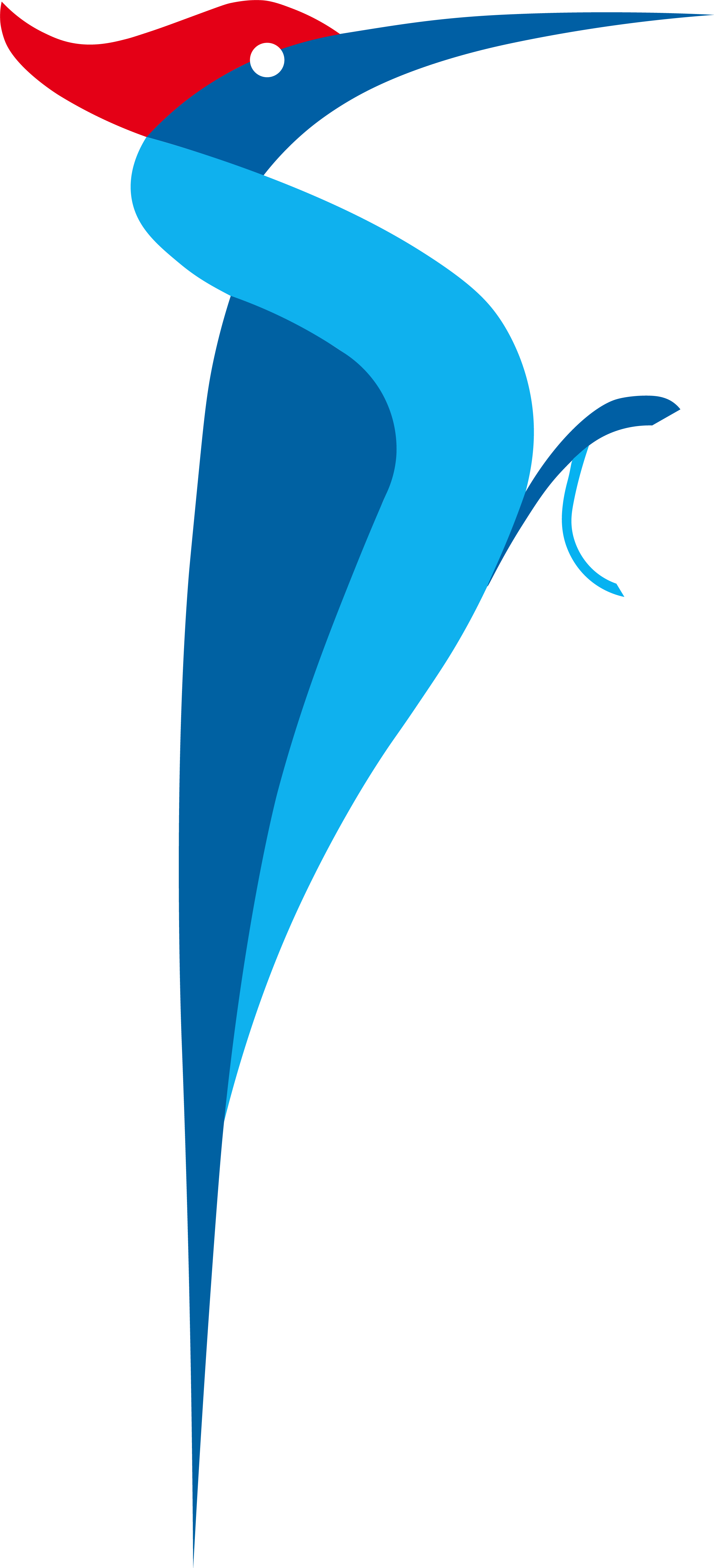 We Know That Our Woodpecker May Be A Little Long For - We Know That Our Woodpecker May Be A Little Long For (2444x5366)