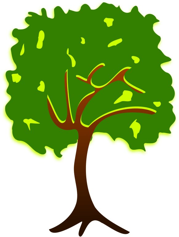 Branch Tree Drawing Plant Nature Story - Branch Tree Drawing Plant Nature Story (800x800)