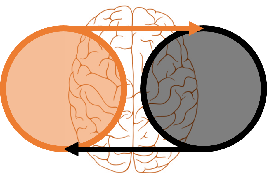 Maria Popova Wrote A Delightful Blog Post On The Topic - Maria Popova Wrote A Delightful Blog Post On The Topic (914x604)