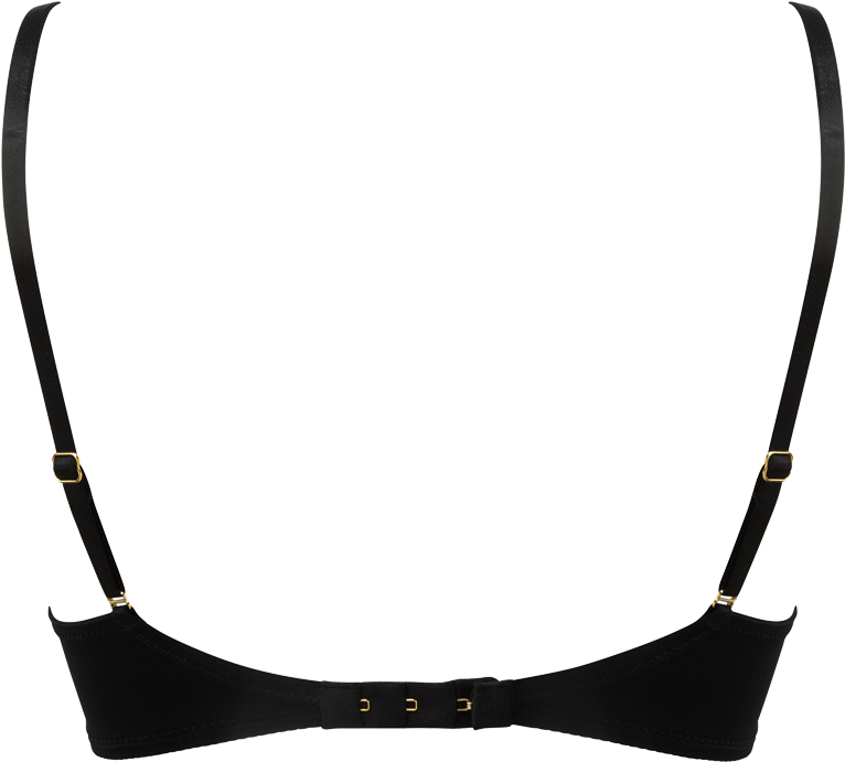 Carmen Plunge Bra Product Back - Carmen Plunge Bra Product Back (800x1000)