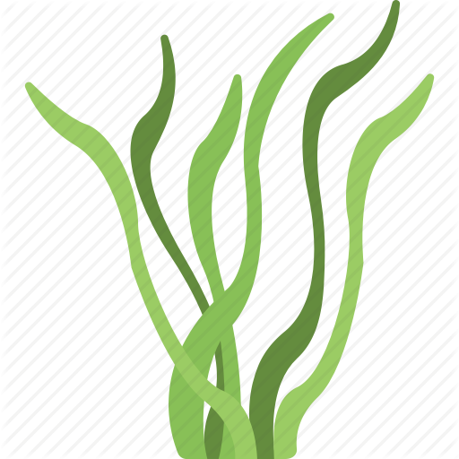 Download Alga Emoji Png Clipart Algae Clip Art - Download Alga Emoji Png Clipart Algae Clip Art (512x512)