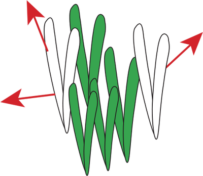 Ian Symbol Seagrass Growth - Ian Symbol Seagrass Growth (400x348)