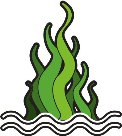 19 Seaweed Graphic Royalty Free Marine Plant Huge Freebie - 19 Seaweed Graphic Royalty Free Marine Plant Huge Freebie (550x550)