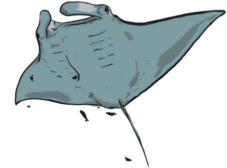 Did You Know - Did You Know (456x337)