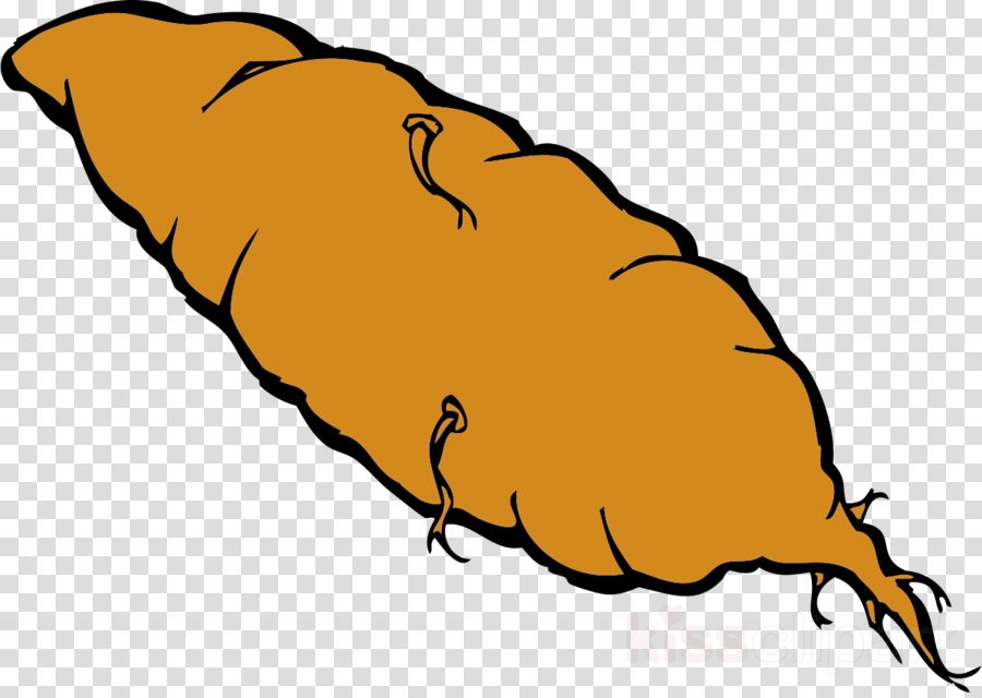 Yam Clip Art Clipart Yam Sweet Potato Clip Art - Yam Clip Art Clipart Yam Sweet Potato Clip Art (900x640)