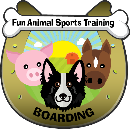 Animal Boarding Facility - Animal Boarding Facility (427x424)