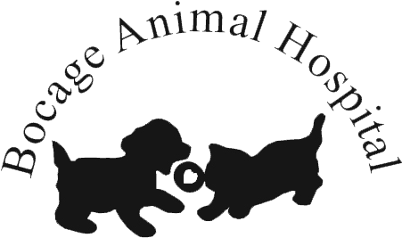 Bocage Animal Hospital - Bocage Animal Hospital (480x293)