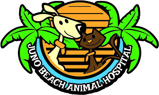 Juno Beach Animal Hospital - Juno Beach Animal Hospital (567x459)